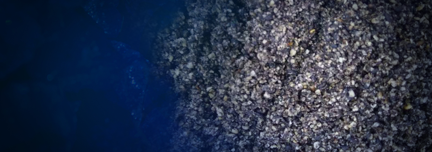 Wolframite